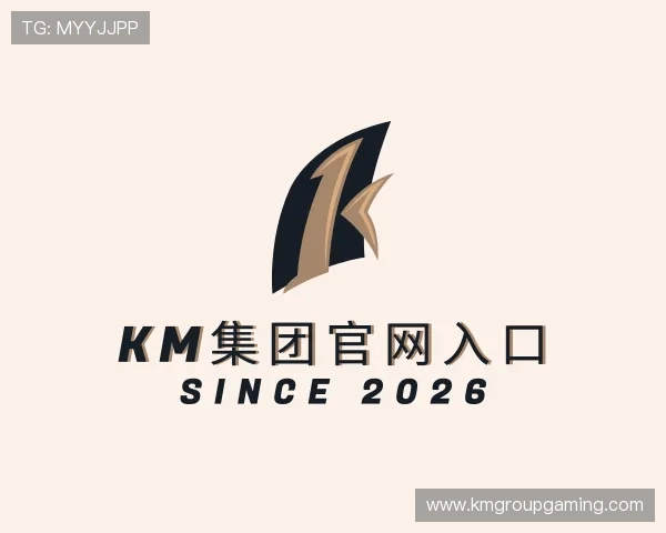 了解KM集团官网入口